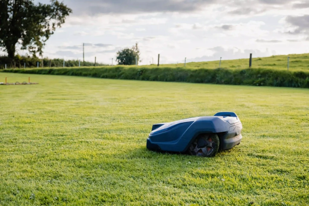 Robot tondeuse dans un jardin
